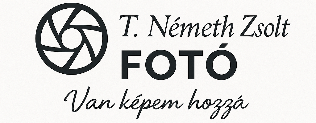 T. Németh Zsolt Fotó